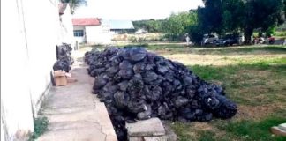 Sem coleta, lixo hospitalar fica acumulado em unidade na Zona Norte de Natal Lixo hospitalar acumulado no Hospital Santa Catarina, na Zona Norte de Natal — Foto: Reprodução