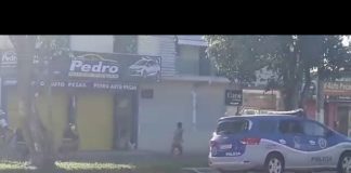 Homem pelado apedreja viaturas e ambulância em Teixeira/BA; veja vídeo
