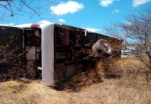Ônibus tomba e passageiros ficam feridos na região Seridó potiguar Ônibus tombou na BR 427 no RN — Foto: PRF/Divulgação