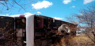 Ônibus tomba e passageiros ficam feridos na região Seridó potiguar Ônibus tombou na BR 427 no RN — Foto: PRF/Divulgação