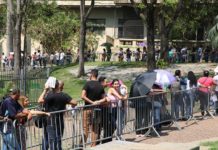 Pretos e pardos têm maior taxa de desocupação, segundo IBGE