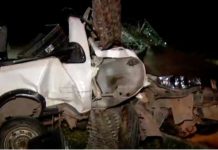 Duas pessoas morrem em acidente na Rota do Sol, em Natal; motorista é preso embriagado Carro ficou destruído após ser atingido na traseira e arremessado contra palmeira; motorista morreu na hora. — Foto: Reprodução/Inter TV Cabugi