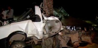 Duas pessoas morrem em acidente na Rota do Sol, em Natal; motorista é preso embriagado Carro ficou destruído após ser atingido na traseira e arremessado contra palmeira; motorista morreu na hora. — Foto: Reprodução/Inter TV Cabugi