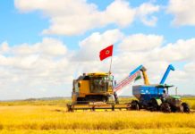 Produção do MST cresce e ‘afronta’ governo