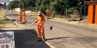 Praias de Ceará-Mirim recebem mutirão de limpeza Foto: Divulgação