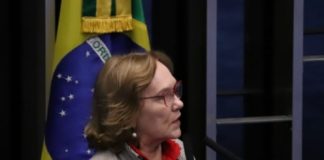Senadora Zenaide defende investimento na Educação durante plenária
