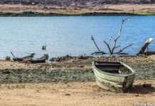 Governo renova estado de calamidade pública por seca em 132 municípios