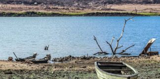 Governo renova estado de calamidade pública por seca em 132 municípios