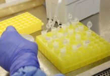 Paciente do RN diagnosticada com Covid-19 não apresenta mais sintomas