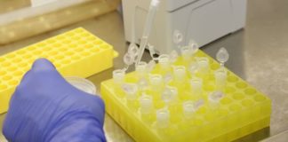 Paciente do RN diagnosticada com Covid-19 não apresenta mais sintomas