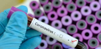 Com mais cinco casos confirmados, sobe para 19 o número de infectados por coronavírus no RN