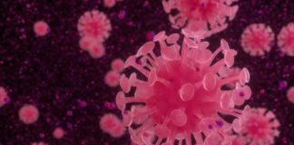 OMS declara pandemia pelo novo coronavírus