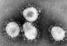 Rio de Janeiro confirma 2º caso de Covid-19