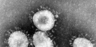 Rio de Janeiro confirma 2º caso de Covid-19