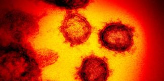 Sobe para 839 o número de casos suspeitos de coronavírus no RN; confira lista de cidades