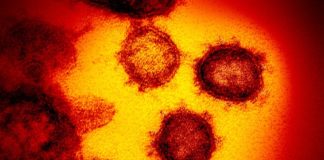 Sesap registra três casos suspeitos de coronavírus em Mossoró