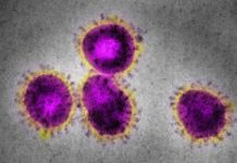 Número de casos suspeitos de coronavírus no Brasil sobe para 252