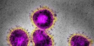 Número de casos suspeitos de coronavírus no Brasil sobe para 252