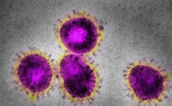 Número de casos suspeitos de coronavírus no Brasil sobe para 252