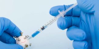 Vacina do coronavírus será testada direto em humanos – sem passar por animais