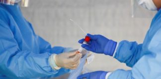 Anticorpo que neutraliza o novo coronavírus é identificado por cientistas em testes de laboratório