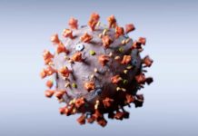 Idosa de 90 anos morreu de coronavírus 8 dias após sentir primeiros sintomas no RN