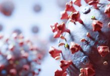 RN tem 17 mortes por coronavírus e 339 casos confirmados da doença