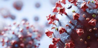 RN tem 17 mortes por coronavírus e 339 casos confirmados da doença