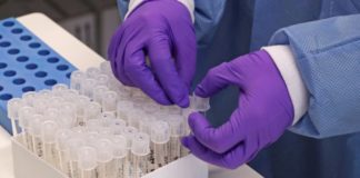 Dos 312 casos confirmados de coronavírus em Natal, 70% estão curados; veja distribuição de casos por bairro