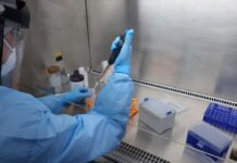 RN tem 136 mortes por Covid-19 e 3.004 casos confirmados da infecção