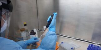 RN tem 136 mortes por Covid-19 e 3.004 casos confirmados da infecção