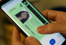 Câmara aprova texto-base de projeto que estende validade da CNH para 10 anos