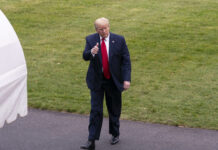 Trump cita Brasil como exemplo negativo no combate à covid-19