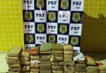 PRF prende dois homens e apreende 72 quilos de maconha na Grande Natal Droga apreendida em Macaíba — Foto: PRF/Reprodução