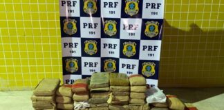 PRF prende dois homens e apreende 72 quilos de maconha na Grande Natal Droga apreendida em Macaíba — Foto: PRF/Reprodução