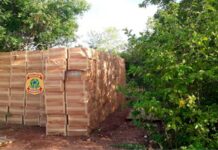 Polícia Federal apreende mais de mil caixas de cigarros contrabandeados no Oeste do RN Carga apreendida pela polícia — Foto: PFRN/Divulgação