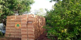 Polícia Federal apreende mais de mil caixas de cigarros contrabandeados no Oeste do RN Carga apreendida pela polícia — Foto: PFRN/Divulgação