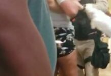 Grupo chuta portas e derruba computadores em alas de pacientes com Covid-19 no Ronaldo Gazolla Confusão: vídeo mostra momento em que guardas retiram uma das manifestantes no hospital Foto: Reprodução