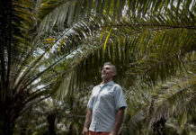 Câmara aprova auxílio emergencial para agricultor familiar