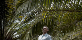 Câmara aprova auxílio emergencial para agricultor familiar