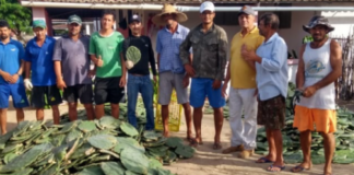 EMPARN beneficia 360 famílias com a distribuição de palma forrageira