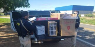 PRF apreende mais de 3 mil maços de cigarros contrabandeados no interior do RN