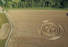 Símbolo gigantesco em campo de trigo atrai atenção de curiosos na França