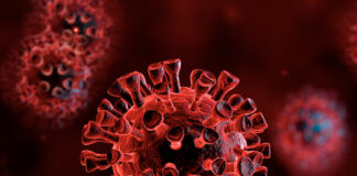 Rio volta a apresentar tendência de alta nas mortes por Covid-19 após quase dois meses