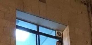 Filho escala parede do hospital até janela e se despede da mãe internada por coronavírus