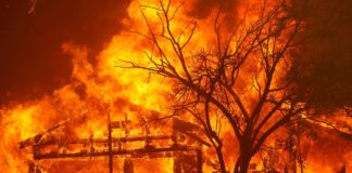 Dezenas de milhares de pessoas fogem de incêndios na Califórnia