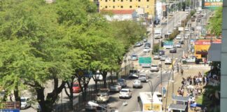 Câmara votará projeto para mudar nome da Salgado Filho para “Avenida Nevaldo Rocha”