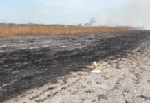 Prestes a receber Bolsonaro, Aeroporto de Mossoró tem incêndio; administração não descarta ação criminosa