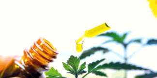 Justiça autoriza médica de Natal a tratar enxaqueca com cannabis