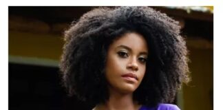 Feminicídio: modelo é morta a facadas por ex-companheiro em Blumenau